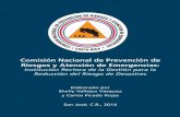Comisión Nacional de Prevención de Riesgos y Atención de ... · como un instrumento de “planificación estratégica”, que permita la articulación sistémica e integral de