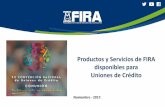 Productos y Servicios de FIRA disponibles para Uniones de Crédito · 2017-12-06 · Acta constitutiva y modificaciones recientes 5. Manuales y procedimientos 6. Plan de negocios