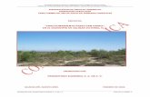 FRACCIONAMIENTO PASEO SAN ISIDRO EN EL MUNICIPIO DE SALINAS VICTORIA…sinat.semarnat.gob.mx/dgiraDocs/documentos/nl/estudios/... · 2014-02-13 · manifestacion de impacto ambiental