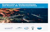 Protección y Ordenamiento del Domo de Centroaméricamarviva.net/.../folleto_marviva_espanol-el_domo-de-centroamerica-ba… · amenazadas: la ballena azul y la tortuga baula. El Domo