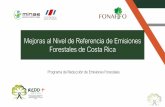 Mejoras al Nivel de Referencia de Emisiones Taller de Costos REDD+ Forestales de …reddcr.go.cr/sites/default/files/centro-de-documentacion/... · 2018-02-08 · Taller de Costos