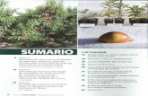 SUMARIO - inia.org.uy · El cultivo del manzano en Austria. Especial referencia a la zona de montaña de Óblarn Dr. T. Rühmer 4 revista de Fruticultura • N°30noviembre1diciembre2013