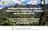 Estrategias de Desarrollo Rural Bajo en Emisiones en las ... · Estrategias de Desarrollo Rural Bajo en Emisiones en las Jurisdicciones Amazónicas del Peru (CIAM y GCF TF) Ventana