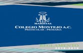 REGLAMENTO - Colegio Montejomontejo.edu.mx/pdf/reglamento_escolar.pdf · 2018-09-11 · por medio de los sacramentos. 6. Promover la formación continua académica de maestros y alumnos.