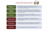 COLECCIÓN CRECE MYPE I - Bélgica Contigobelgicacontigo.com/wp-content/uploads/2017/11/Productos... · 2018-04-19 · fueron colgados al portal CRECEMYPE de la MYPE. Transferencia
