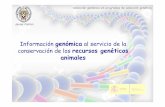 Información genómica al servicio de la …...Sólo 1 de 26 indicadores se refiere a diversidad genética, que en la práctica considera sólo el número de razas ganaderas Racionalización