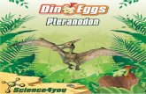 Pteranodon - Tienda online de juguetes educativos para niños · Como regla general, los fósiles más famosos son los huesos que podemos encontrar de diversas es-pecies. Sin embargo,