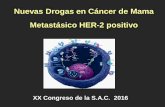 Nuevas Drogas en Cáncer de Mama Metastásico HER-2 positivo€¦ · detención del ciclo celular y la consiguiente muerte celular2 por apoptosis DM1 1. Junttila TT, et al. Breast