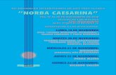 XIII ENCUENTRO INTERNACIONAL DE GUITARRA CLÁSICA … · guitarra clásica “Norba Caesarina”, un grupo de profe - sores del Conservatorio de Cáceres “Hermanos Berzo - sa”