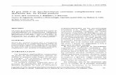 elfosscientiae.cigb.edu.cu Apl...1992/09/01  · Cepas de bacterias y levaduras Escherichia coli MC1066 (F, lacX74, r- m- gal U, gal K, Kan, trpC 9830, leu B600, pirF::Tn5) se usó