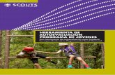HERRAMIENTA DE AUTOEVALUACIÓN PROGRAMA DE JÓVENES · 2019-12-20 · en el Movimiento Scout (a nivel de unidad e institucional) y más allá del Movimiento Scout. 2.8 803 El Programa