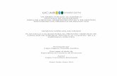 VICERRECTORADO ACADEMICO POSTGRADO EN GERENCIA DE PROYECTOS TRABAJO ESPECIAL DE …biblioteca2.ucab.edu.ve/anexos/biblioteca/marc/texto/AAS... · 2015-02-06 · iii DEDICATORIA A