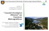 Caudal Ecológico Mínimo” en - Centro Eula wordpress/monitoreo/p13.pdfCurso Internacional Chile-Brasil: El Recurso Agua (Iguazú/Biobío) “Caudal Ecológico Mínimo” en Cuencas
