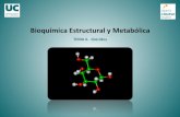 Bioquímica Estructural y Metabólica. Primer Grado de Medicina. … · 2017-05-18 · TEMA6.%%Glúcidos% Bioquímica%Estructural%y%Metabólica% M.%Dolores%Delgado% TEMA6.% Glúcidos.