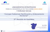 LINEAMIENTOS ESTRATÉGICOS - Argentina · 2019-01-04 · Año 2007 Lineamientos Estratégicos para el Desarrollo Económico y Social 2007- 2016. Se agrega el factor económico: Mejorar