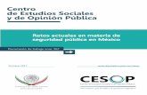Retos actuales en materia de seguridad pública en México · 2017-11-10 · Retos actuales en materia de seguridad pública en México Seguridad pública El Ministerio de Defensa
