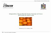 Cluster Naranja en Fresco de Nuevo Leónconcitver.com/archivosenpdf/cluster.pdf · Cluster Naranja en Fresco de Nuevo León Centro de Estudios Estratégicos Producción mundial de