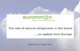 The role of natural refrigerants in the future un update ... · Any other key applications using F-gases fall under the F-gas regulation, with major aims to • Improving the prevention
