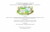 UNIVERSIDAD NACIONAL AGRARIA (U N A) FACULTAD DE …repositorio.una.edu.ni/1986/1/tnh10a481.pdf · 2014-09-02 · universidad nacional agraria (u n a) facultad de agronomia departamento