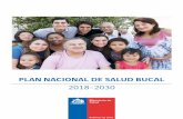Sociedad Chilena de Odontopediatría V región - 2018-2030 · 2019-08-14 · Departamento de Salud Bucal, División de Prevención y Control de Enfermedades Subsecretaría de Salud