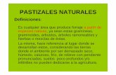 pastizales naturales unidad 1 para forrajes · De las aproximadamente 280 millones de hectárea que ocupa nuestro país, el 65 a 75 % corresponden a pastizales naturales con diferentes