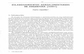 ESLABONAMIENTOS AGROALIMENTARIOS DE ARGENTINA …bibliotecadigital.econ.uba.ar/download/docuciea/docuciea_n1_07.pdf · sectoriales (Boscherini F. y Poma L., 2000) y en las cadenas