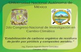 Universidad Nacional Autónoma de México · Universidad Nacional Autónoma de ... “Estabilización de carbono orgánico de residuos ... y su uso en suelos. 2.2 Biochar . 2.3 Proceso