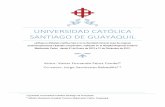 Universidad Católica Santiago de Guayaquilrepositorio.ucsg.edu.ec/bitstream/3317/2145/1/T-UCSG-PRE-MED-203.pdf · estrogénica”. Su estrecha relación permitirá obtener una mejor