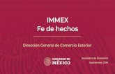 IMMEX Fe de hechos - SNICEoracle/SNICE_DOCS/guia... · 15/10/2019  · Descripción de la mercancía a importar Detallar las características físicas, técnicas, uso de la mercancía