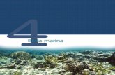 Biota marina - Repositorio Digital de Informacion: Página de iniciorepositorio.geotech.cu/jspui/bitstream/1234/1431/92/072-083 Cap. 4... · variadas formas de vida. Solamente los