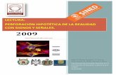 LECTURA: PERFORACIÓN HIPOTÉTICA DE LA REALIDAD CON SIGNOS Y SEÑALES… · 2018-06-24 · PERFORACIÓN HIPOTÉTICA DE LA REALIDAD CON SIGNOS Y SEÑALES. Universidad Michoacana de