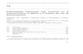 Enfermedades Infecciosas más Comunes en la Camaronicultura …cesaibc.org/pdf/infointeres/crustaceos/enfermedades... · 2008-12-23 · Enfermedades Infecciosas más Comunes en la