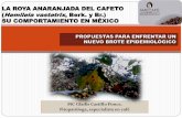 LA ROYA ANARANJADA DEL CAFETO (HEMILEIA ...fec-chiapas.com.mx/sistema/biblioteca_digital/propuesta...LA ROYA ANARANJADA DEL CAFETO (HEMILEIA VAsTATRIX, Berk. y Br.) SU COMPORTAMIENTO