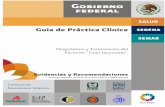 Guía de Práctica Clínica - UNAM · de Salud y Asistencia. 3.2 Objetivo de Esta Guía La Guía de Práctica Clínica para la atención de los pacientes “grandes quemados” Forma