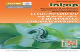 INSTITUTO NACIONAL DE INVESTIGACIONES FORESTALES ... . TEC. 015 algodon.pdf subtropicales, además de encontrarse en diferentes plantas silvestres (Metcalf y Metcalf, 1992). En México