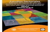 Estudios Sectoriales‰XICOCompleteLOW.pdf · Tabla 1: Tipos de uso de los bosques y selvas de México Tipo de uso del bosque Superficie, Has. Superficie bosques y selvas, Has. %