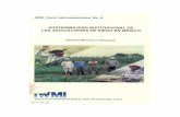 Desarrollo Rural especialista en Genero del IWMI-M6xico.publications.iwmi.org/pdf/h025329.pdf · La autora: M.G. Gabriela Monsalvo-Velizquez es Maestra en Ciencias en Desarrollo Rural