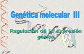Dr. Antonio Barbadilla - jcyl.esiespoetaclaudio.centros.educa.jcyl.es/sitio/upload/regulacion_genica… · En el ARN hay un grupo de pequeñas moléculas (21-25 pb) denominadas ARN