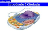 Introdução à Citologia · Anderson - Biologia • Todo ser vivo é dotado de células. • Toda célula é proveniente de outra preexistente. • Todas as reações metabólicas