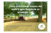 3.1 Casos practicos de mejora de suelo en …...Casos prácticos de mejora del suelo y agro-forestería en proyectos LIFE Jornada Técnica-Cada año es el año del suelo: una mejor