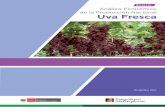 Boletín Análisis Económico de la Producción Nacional Uva ...agroaldia.minagri.gob.pe/.../f01-cultivo/uva.pdf · la FAO, llegó a 74,5 millones de toneladas en el 2014; es decir,