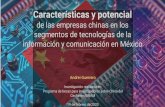 Características y potencial · Características y potencialCaracterísticas y potencial de las empresas chinas en los segmentos de tecnologías de la información y comunicación
