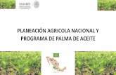 Presentación de PowerPoint · 2018-03-03 · VARIEDADES DE SEMILLAS MEJORADAS Y CERTIFICADAS RECOMENDADAS Los principales países productores de semillas mejoradas y certificadas,