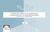 Criterios de auditoría en - ILAE€¦ · Composición y edición electrónica: Editorial Milla Ltda. (571) 702 1144 editorialmilla@telmex.net.co Editado en Colombia Published in