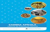CADENA APÍCOLA - Ministerio de Agricultura, Ganadería y Pesca | … · 2017-01-31 · Físicos: contaminación de la miel con vidrio, plásticos, tierra, pelos, trozos de madera