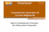 Lineamientos Generales de Carrera Magisterial · 2011-10-28 · Realizar ajustes curriculares razonables a la planeación, metodología, al contenido de aprendizaje. Desarrollar estrategias