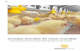 Granjas avícolas de clase mundial - SKIOLD...km de espacio de alimentación para los animales. En total, se han instalado 20 líneas de alimentación y En total, se han instalado