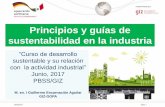 Principios y guías de sustentabilidad en la industria · Seite 20 Implementado por Principios de Actuación Sustentable para Empresas Principios de la Dimensión Económica Propicia