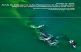 REPORTE DEL TALLER Rol de los Cetáceos en el ... · Modelar el rol de las ballenas en carbono azul y transferencia de nutrientes. Evaluar el papel de las ballenas en el mantenimiento