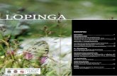 LOPINGA - Parque Nacional Picos de Europa – Asturias-Cantabria-Castilla y … · 2017-11-04 · Lopinga Boletín del Seguimiento de Mariposas en Picos de Europa en 2016 Núm. 2